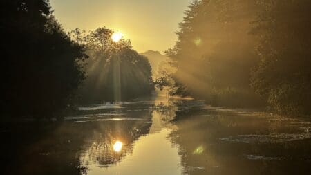 Golden rays of sun illuminate the water of the Royal Military Canal in Hythe